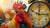 A rooster standing in front of a clock with its beak open, symbolizing a loud alarm. Concept representing how deep sleep affects bedwetting and why a voice-based bedwetting alarm like Oopsie Heroes is more effective for children.